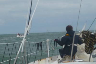 qui est le petit singe ?- TML Voile