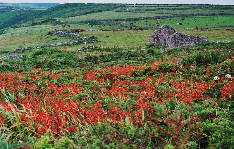 Pendeen Watch, Cornouailles